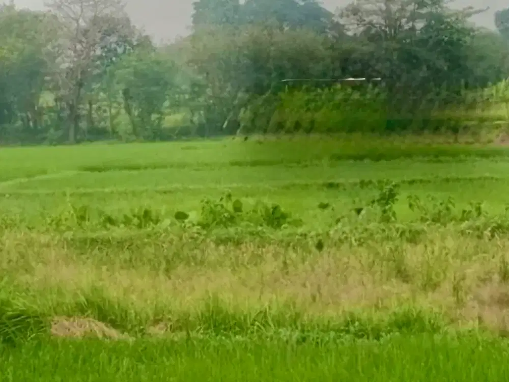 Dijual  Tanah kosong di Desa Cikande, Tangerang Banten