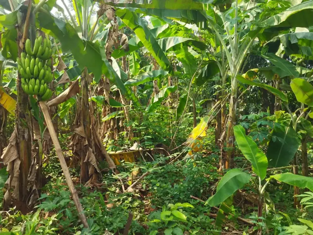 Dijual Tanah Kosong Siap Huni Berlokasi Strategis