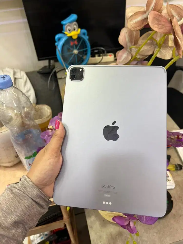 ipad pro m2 11 inc 128 gb