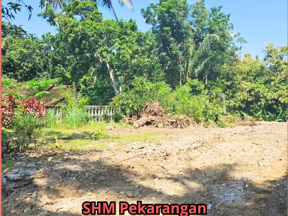 Tanah Murah Area Gamping Sleman Siap Ajb SHM Pekarangan