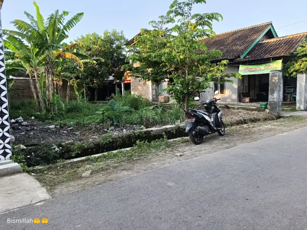 Tanah joho mojolaban