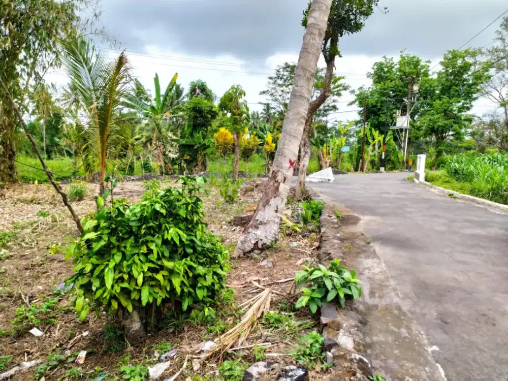 Tanah villa dan rumah, pinggir jalan aspal