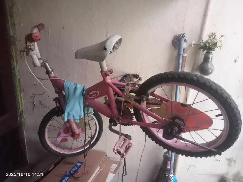Sepeda Anak merk Win Cycle