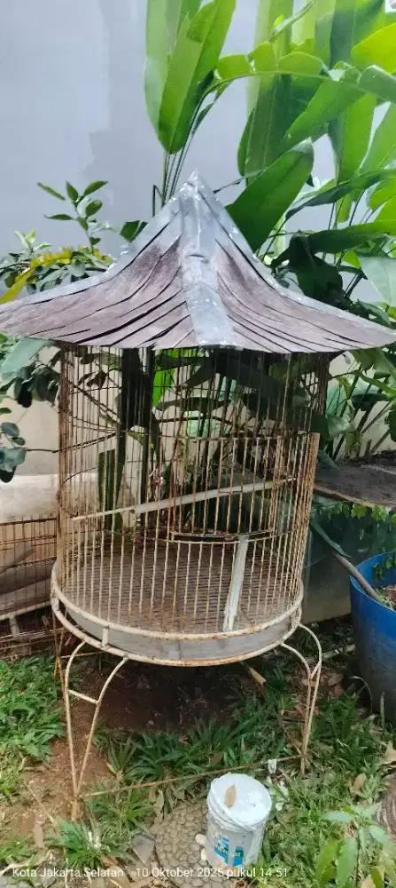 Kandang burung besi
