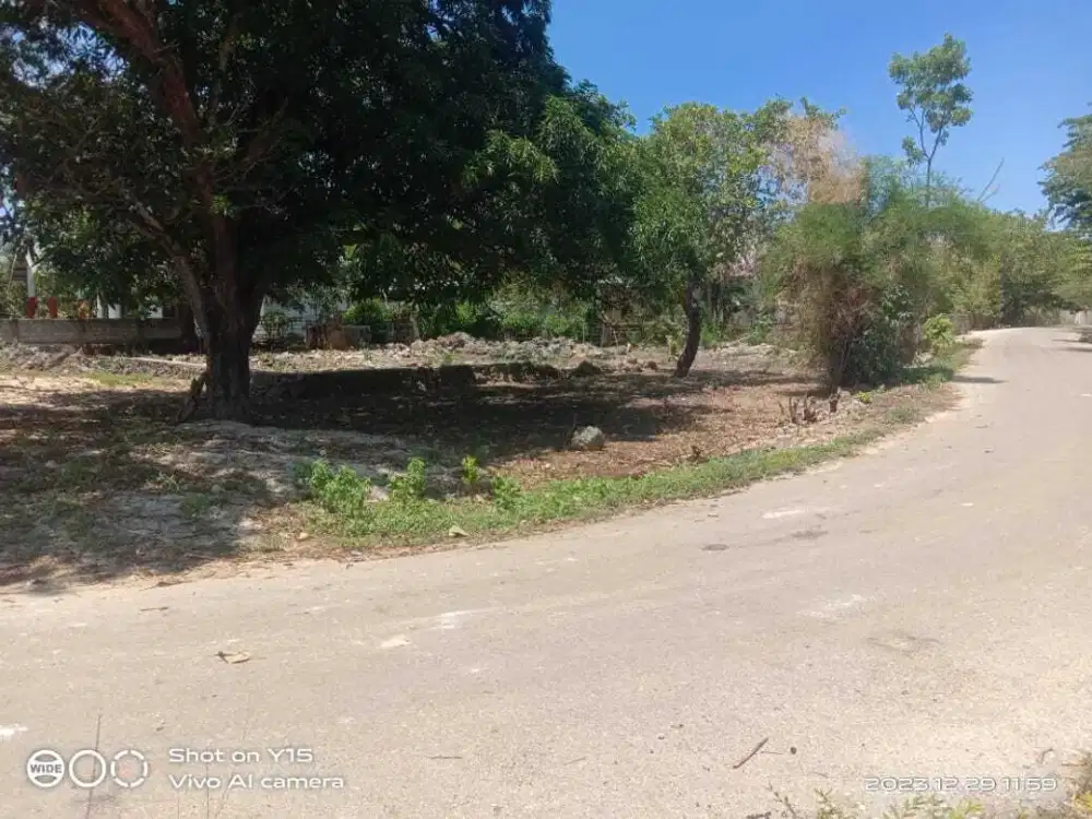 Dijual Murah Tanah Dekat Bandara Udara Tambolaka Lede Kalumbang