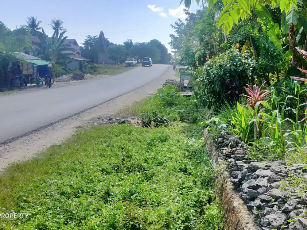 Dijual Murah Tanah Strategis Jalur Utama Kota Tambolaka