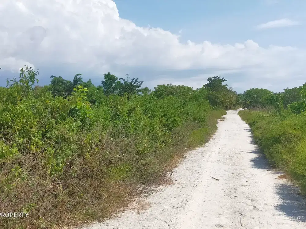 Dijual Murah Tanah Area Kota Tambolaka Sumba Barat Daya NTT