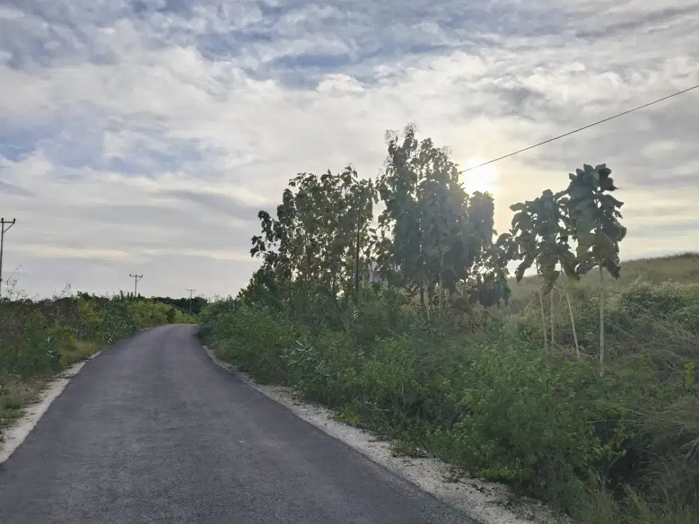 Dijual murah tanah strategis area Sumba Barat Daya -NTT