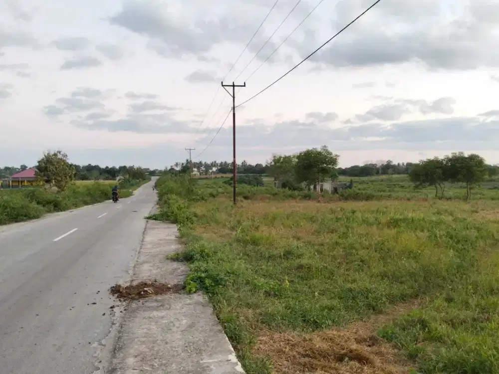 Dijual murah tanah dekat area pantai wisata Ratenggaro Sumba NTT