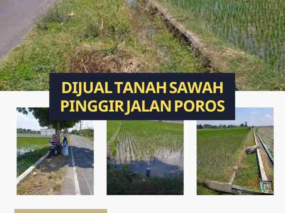Dijual Tanah Pinggir Jalan Poros Banjarsari Nglames Madiun