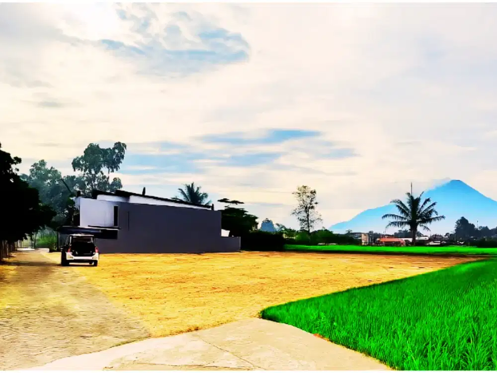 Tanah Pekarangan Pinggir Sawah Di Jogja Kota, Kos Dan Villa Nyaman