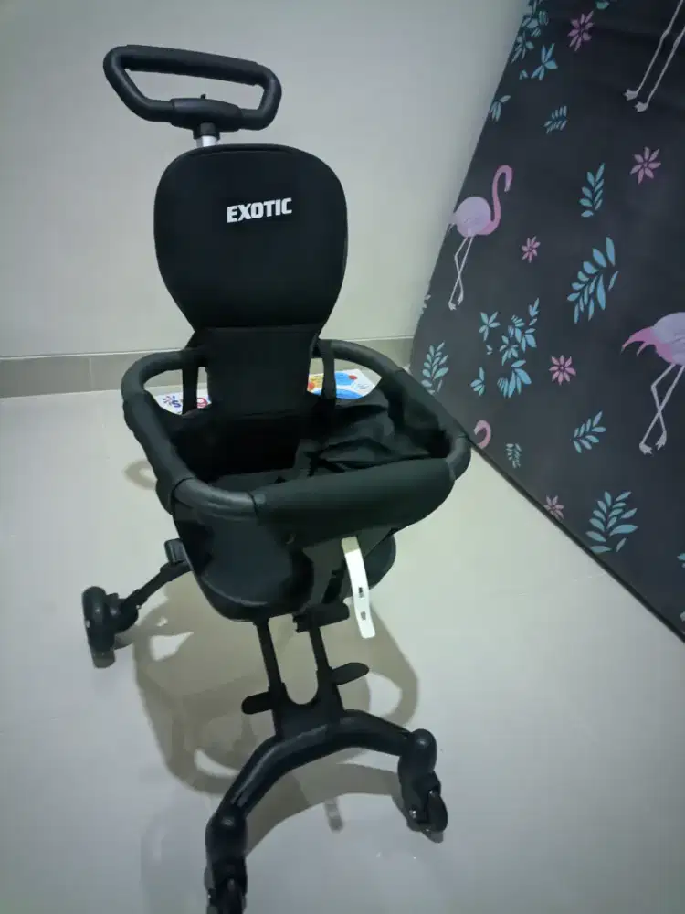 Stroller anak exotic