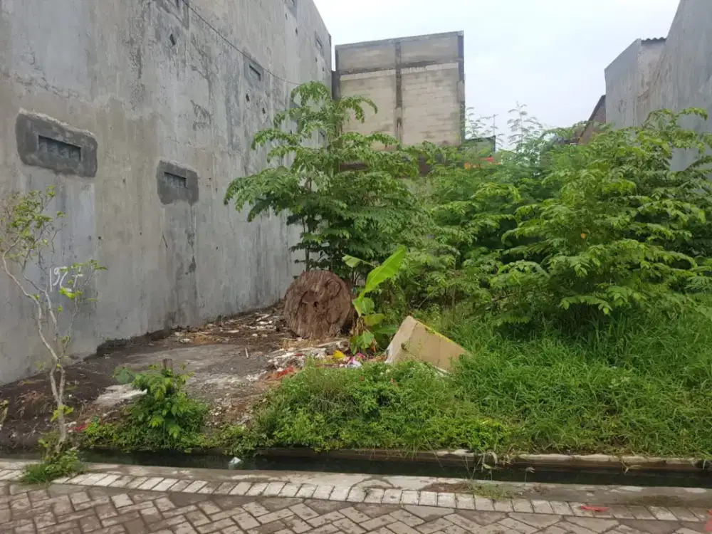 Dijual Cepat Tanah Dukuh Setro