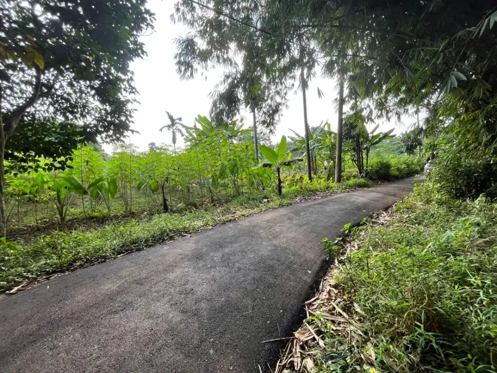 Dijual Tanah Kavling Cisauk Siap Akad Balik Nama- 6 menit Stasiun Jatake