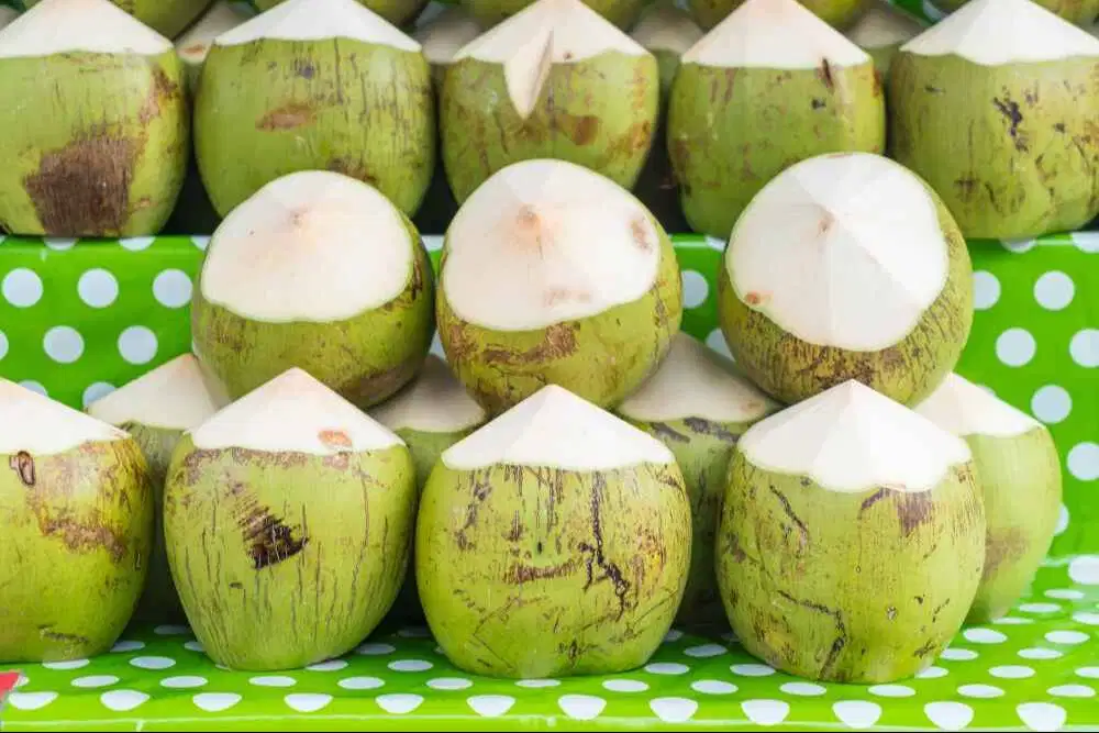 DICARI KARYAWAN LAKI JAGA LAPAK KELAPA MUDA AREA PIK