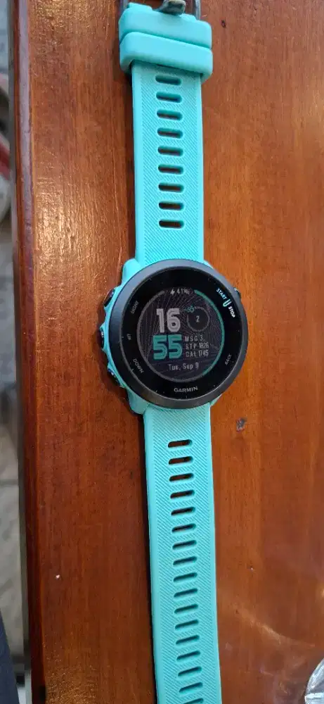 Garmin Forrunner 55