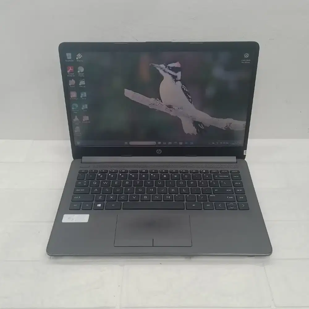Laptop Hp 245 G8 Amd Ryzen 3-5300U RAM 8GB SSD 256GB