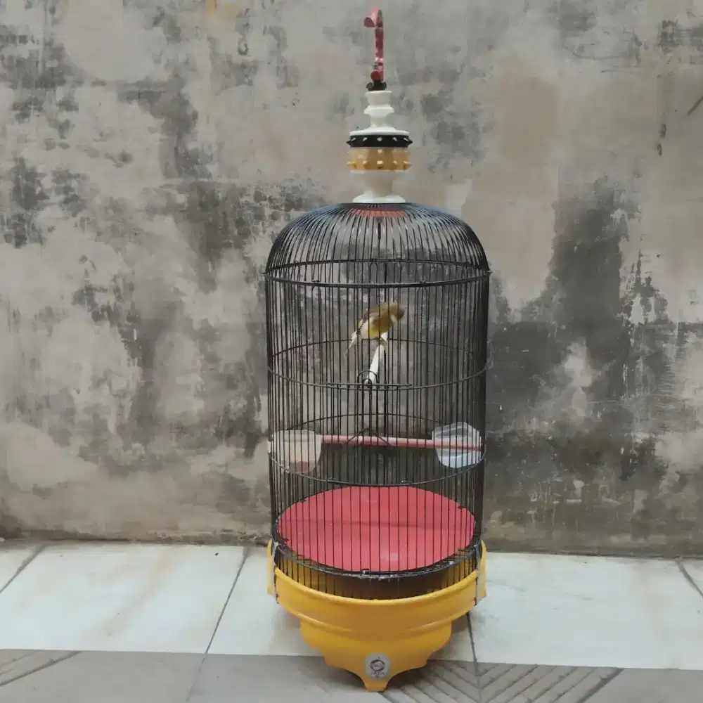 Sangkar lovebird ebod