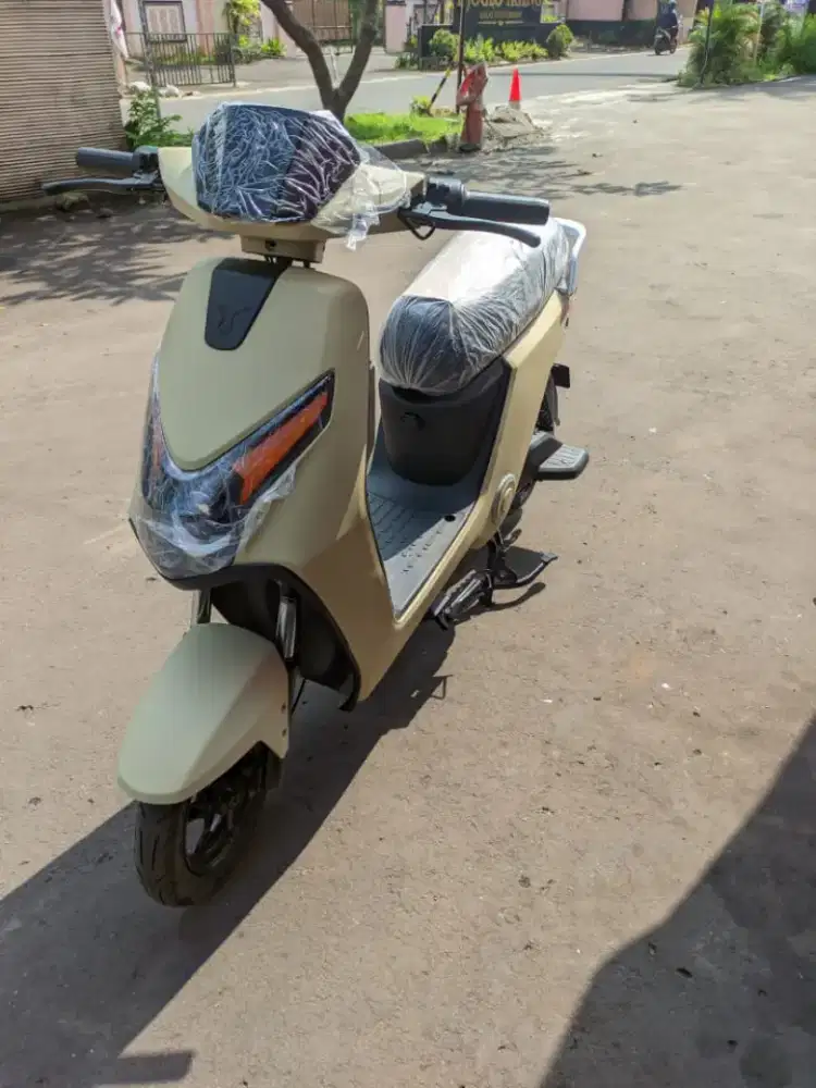 Sepeda listrik uwinfly d75