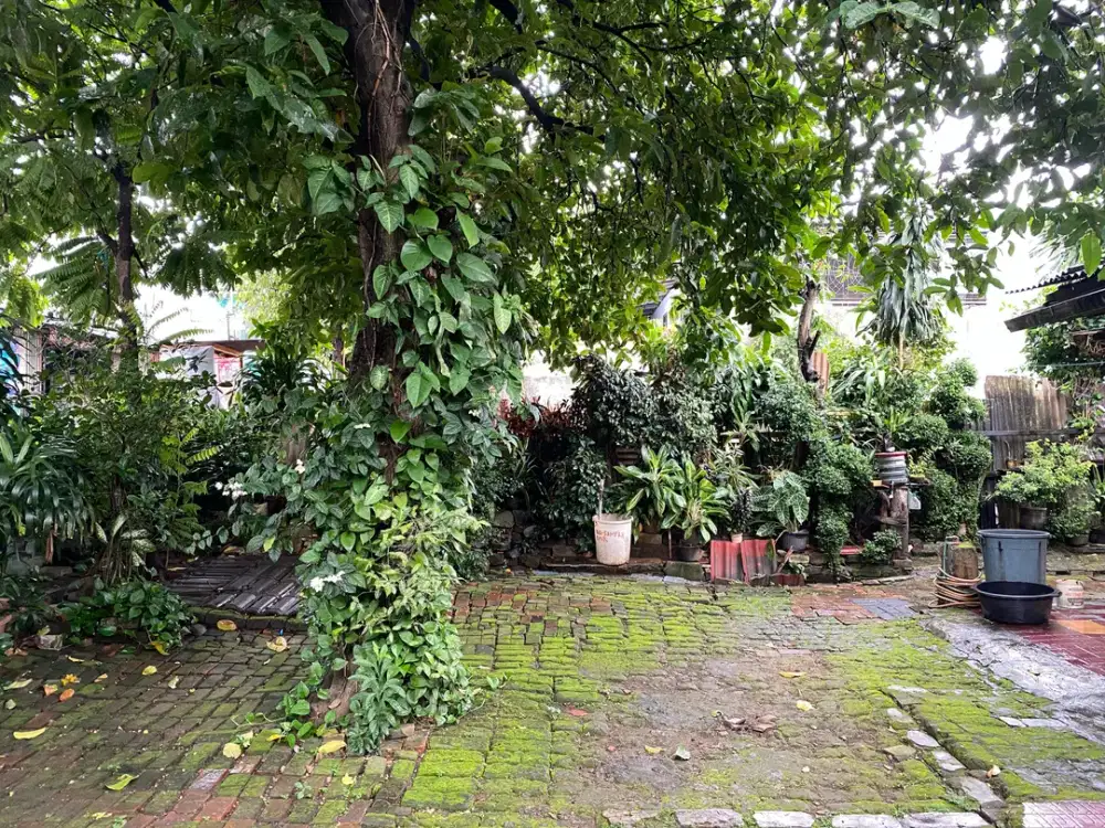 DIJUAL TANAH MURAH SHM BEBAS BANJIR COCOK UNTUK RUKO DEKAT JAKTIM