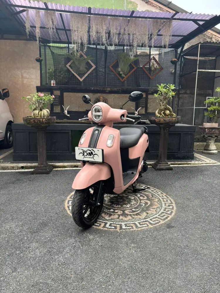 Fazzio lux tahun 2025