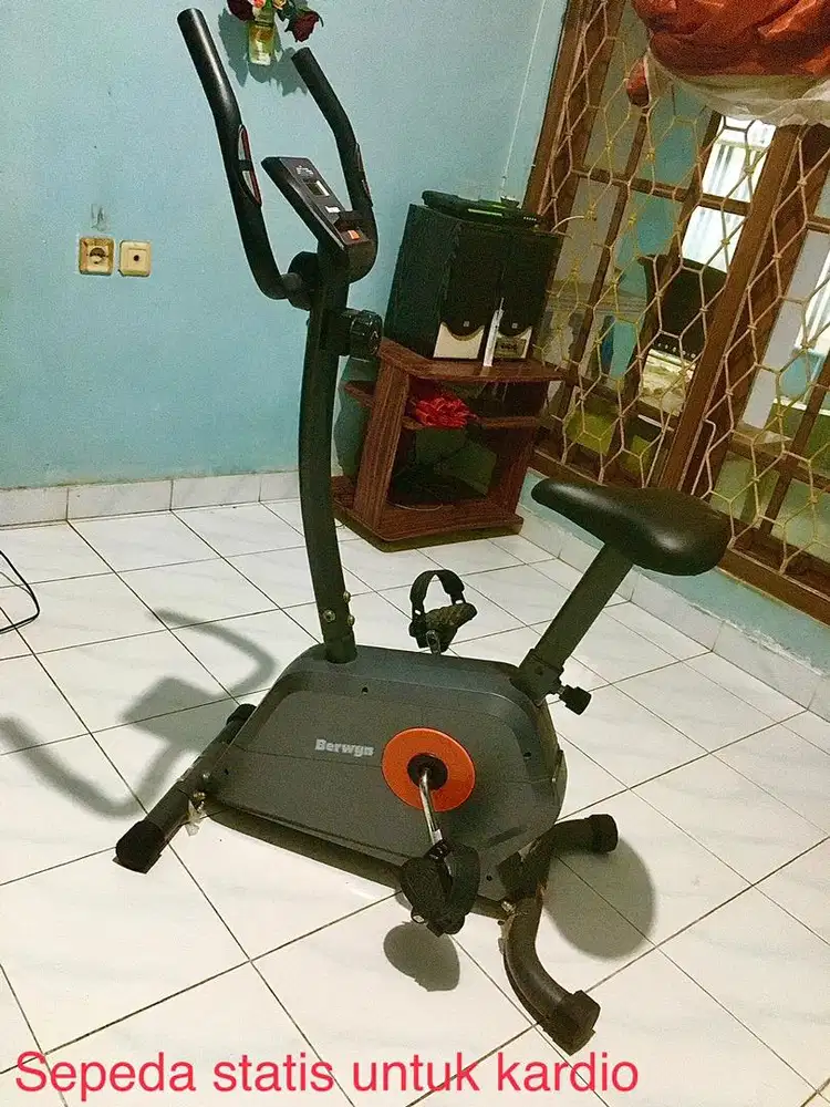 Sepeda Statis merk Berwyn