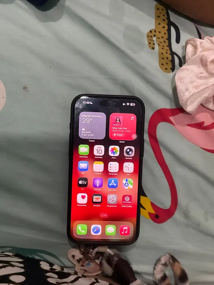 iPhone 16 Promax 256GB