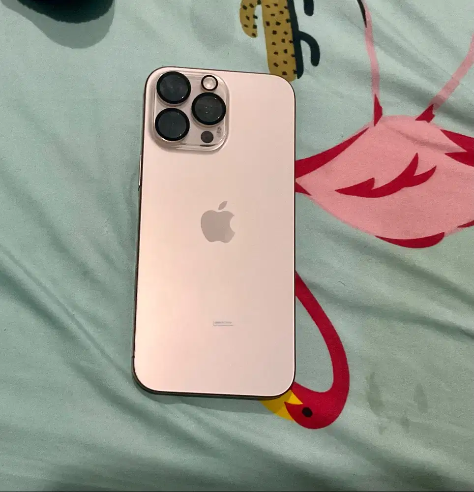 iPhone 16 Promax 256GB