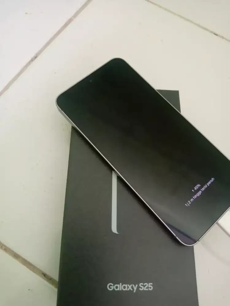 Hape Samsung S25 RAM 12/256GB
