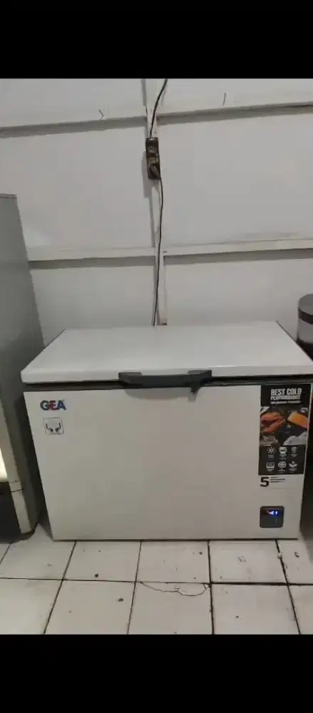 Freezer box gea 300 liter