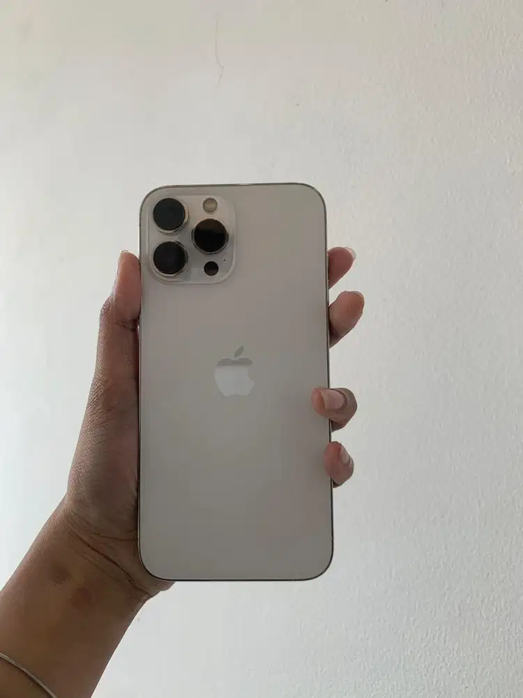 Iphone 13 promax 128 BEACUKAI
