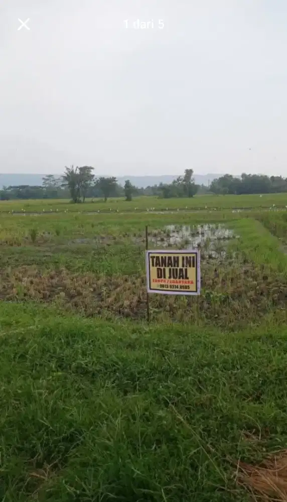 Tanah sawah dijual