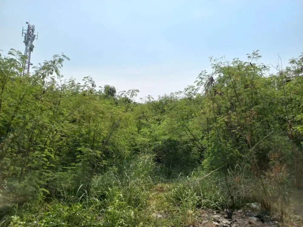 TANAH STRATEGIS DI CIPONDOH TANGERANG, AKSES MUDAH KE ALAM SUTERA, GADING SERPONG, BSD