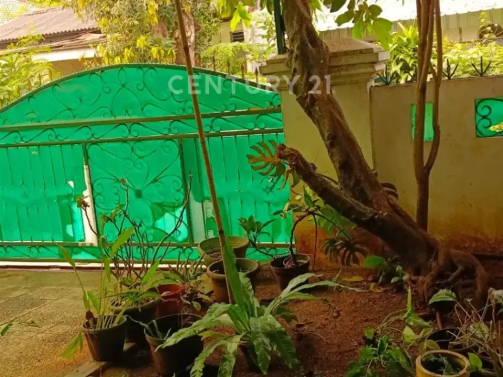 Dijual Rumah Nyaman Di Kebayoran Jaksel NV17063