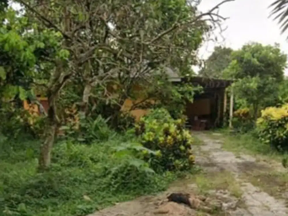 Kavling Siap Bangun di Parung Bogor -  Jawa Barat