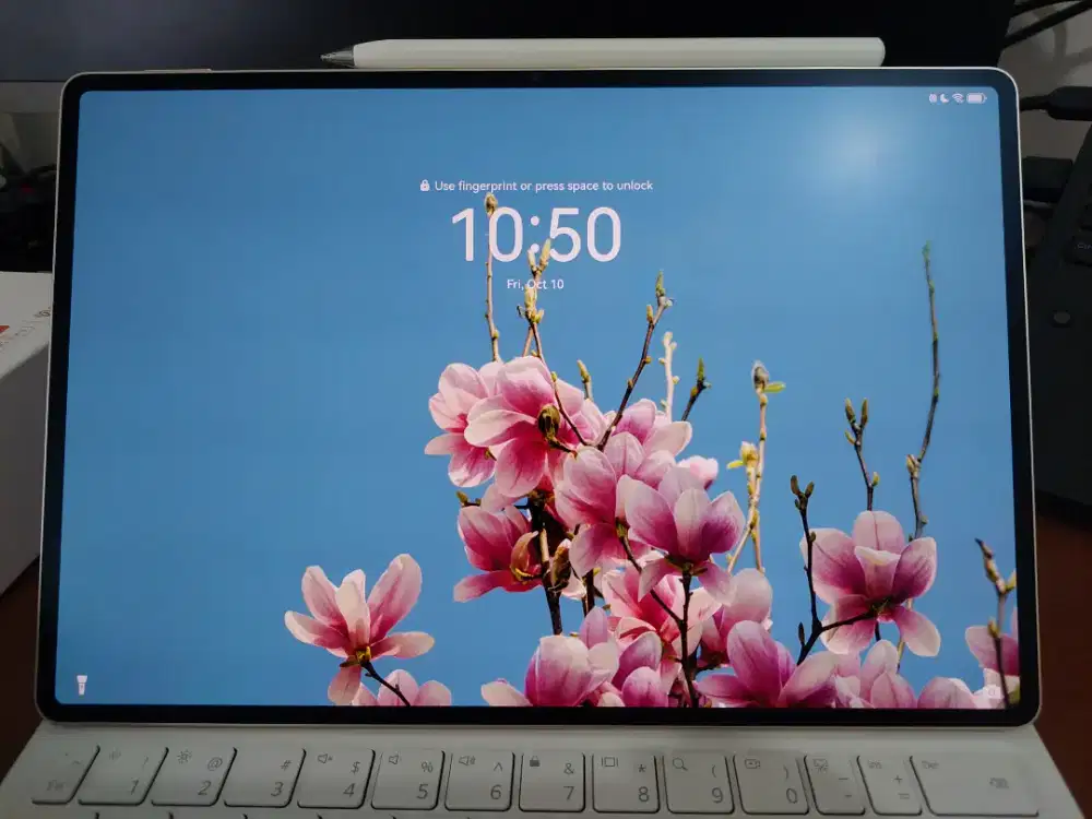 HUAWEI MatePad Pro 12.2
PaperMatte 12/512