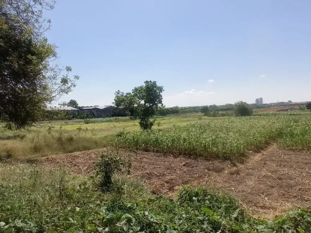 DiJual Tanah Randegansari dekat Area Industri Driyorejo