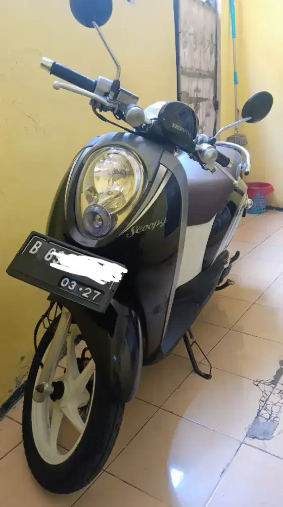 Scoppy karbu Gress