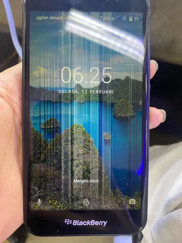 BLACKBERRY AURORA