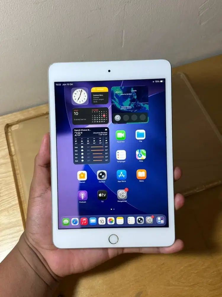 iPad Mini 5 64GB WIFI + Pencil | No Minus