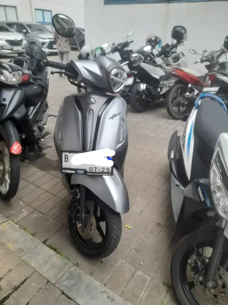 Yamana Filano 2024
