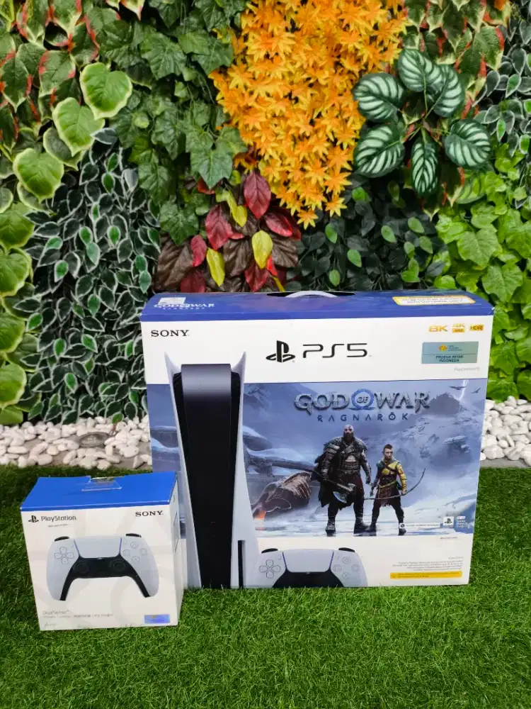 Ps 5 Fat Disk God of War edition