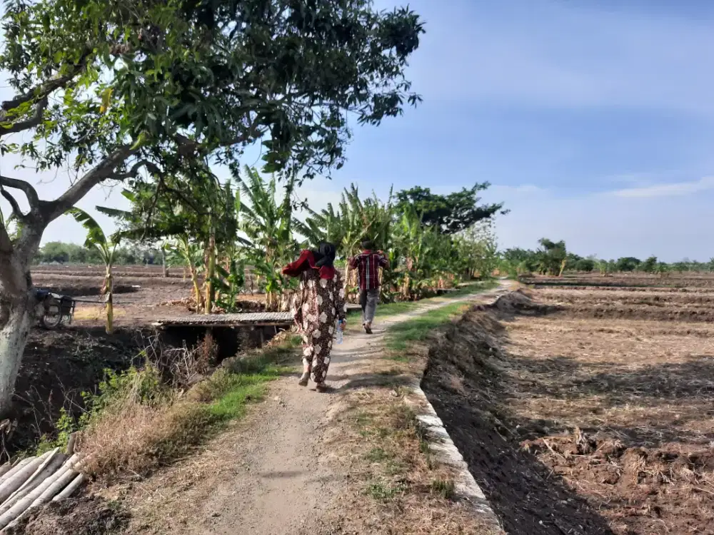 JUAL TANAH CEPAT BISA NEGO