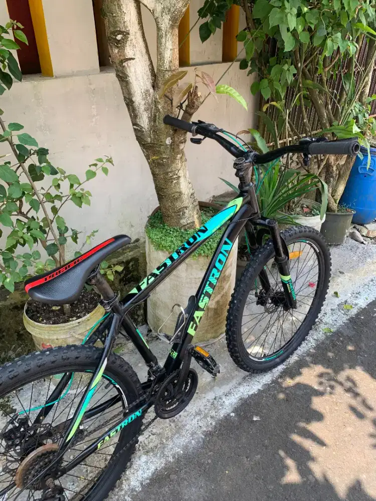 Sepeda Gunung murahh