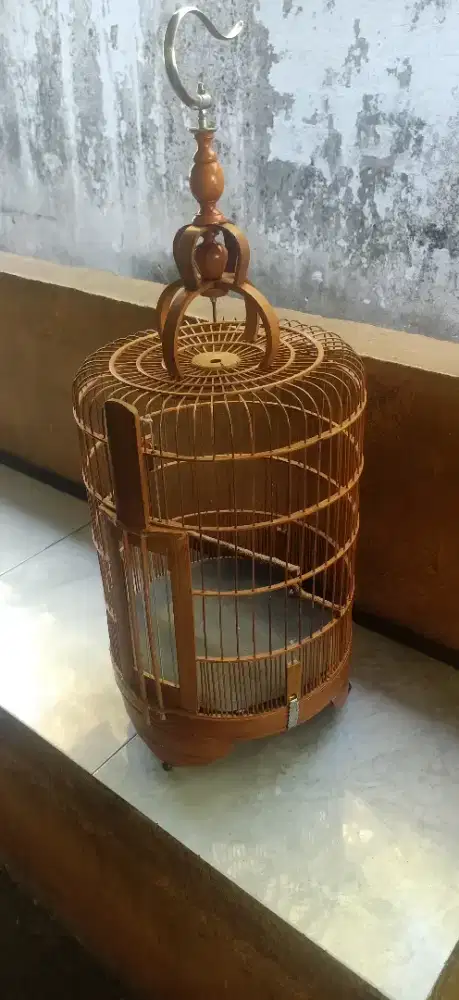 sangkar anis suluan