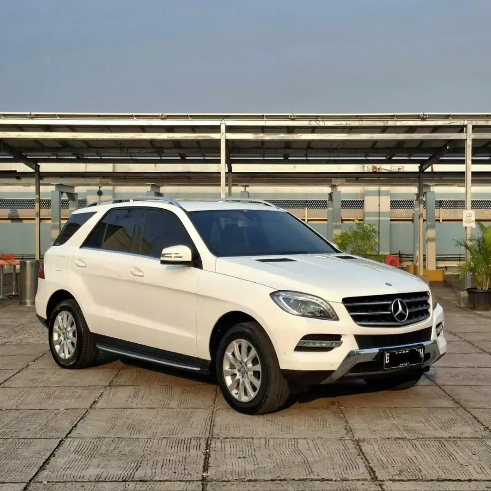 Mercedes Benz Mercy ML250 CDI 2014 Low KM 62RB Antik