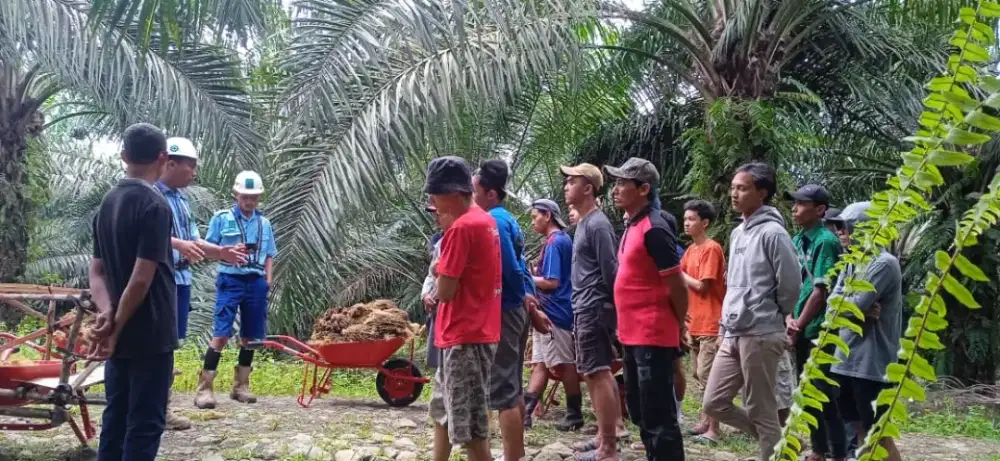 Loker perkebunan kelapa sawit manen dan Juga mupuk REAL NO PENIPUAN
