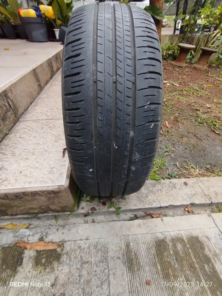 Ban Dunlop 205/55 R16