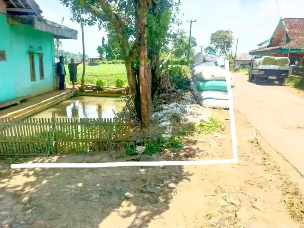 Jual Tanah murah berbentuk kolam ikan pinggir jalan desa