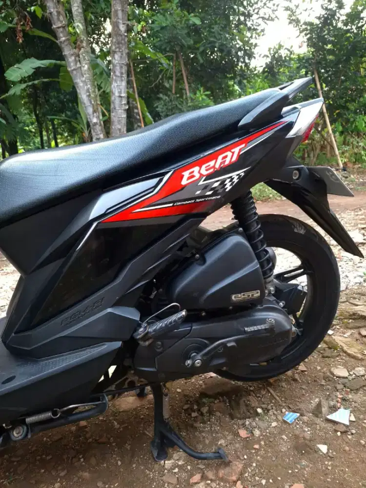 Beat eco 2018 mulus gress
